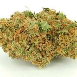Abliss Buds - Discreet Cannabis