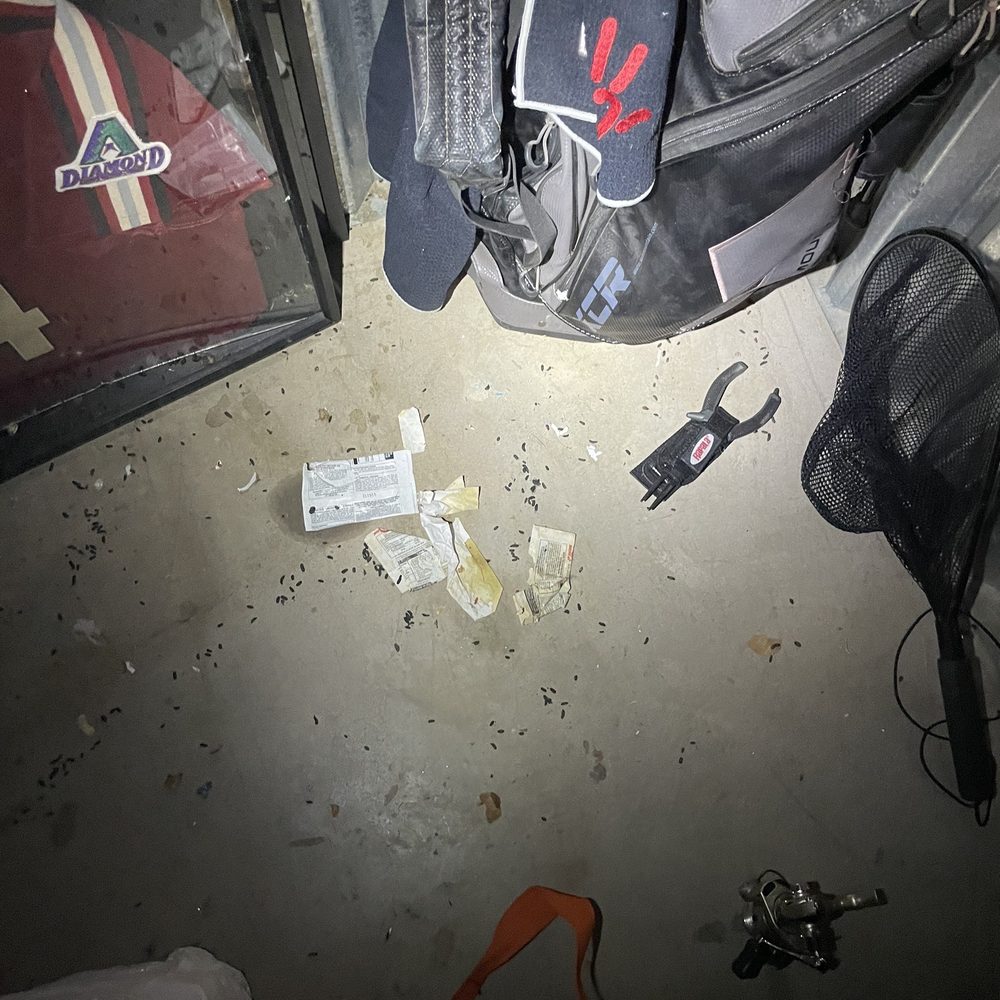 Public Storage - Rat droppings everywhere - Self Storage Near Me - Scottsdale, Arizona Public Storage - Rat droppings everywhere - Self Storage Near Me - Scottsdale, Arizona