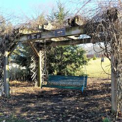 Cicero Community Park - Bench swing