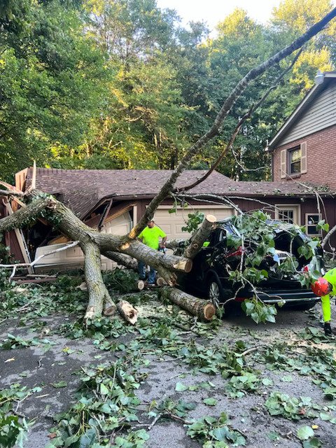 1 Tree Emergency - tree service in Hartford, CT