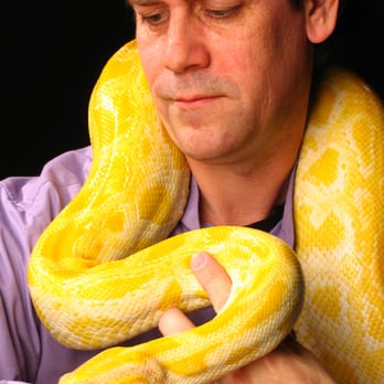 Snake Encounters - Party & Event Planning Near Me Snake Encounters - Party & Event Planning Near Me