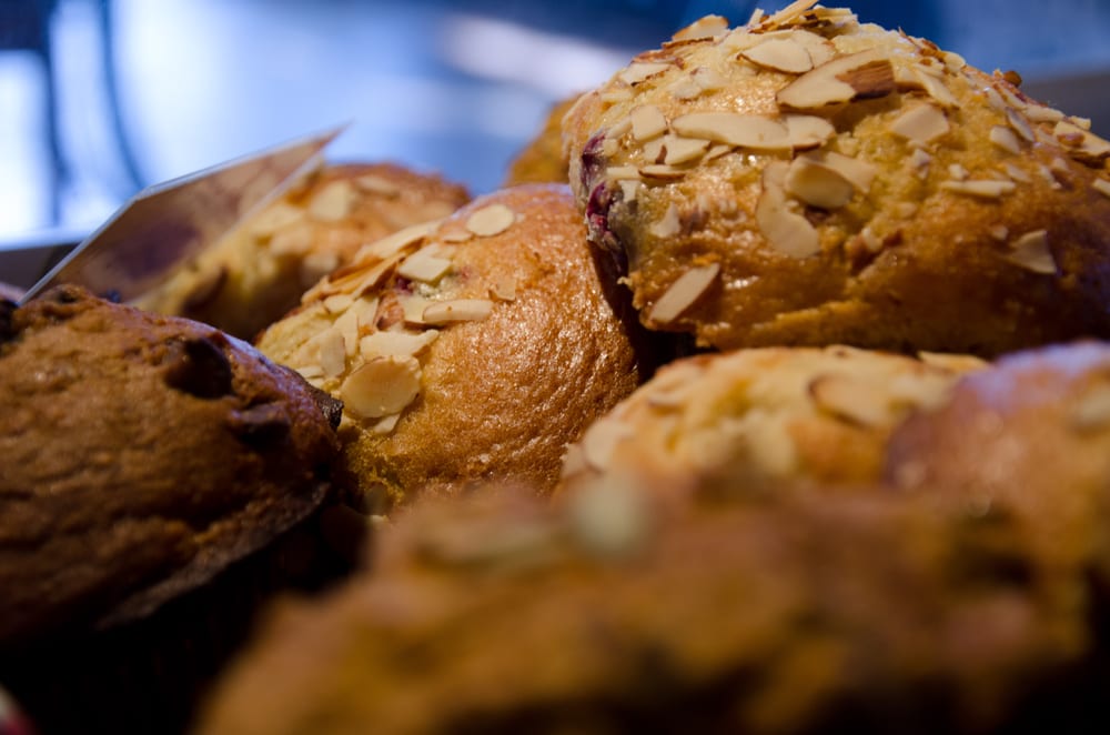 MARMALADE CAT CAFE Updated September 2024 30 Photos & 33 Reviews