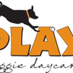 PLAY Doggie Daycare