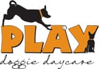 PLAY Doggie Daycare - pet boarding facility in Seattle, WA
