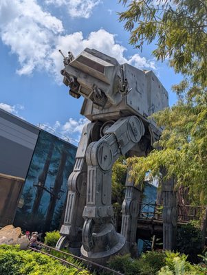 Disney's Hollywood Studios by null