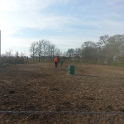 Texas Livestock Rentals - Great trainer