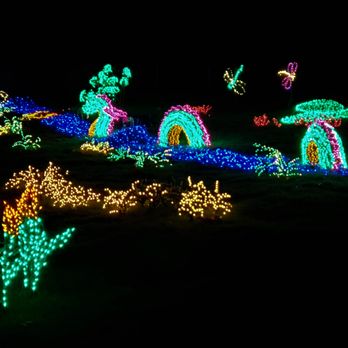 Garden D'Lights - Dragon in a river - Local Flavor Near Me - Bellevue, Washington Garden D'Lights - Dragon in a river - Local Flavor Near Me - Bellevue, Washington