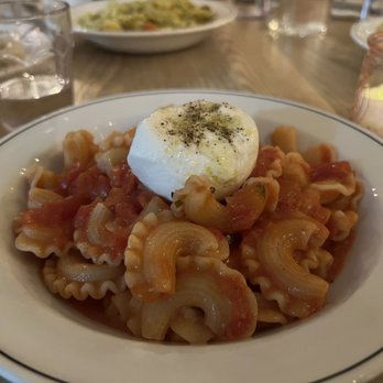 Pasta Louise - Pasta of the day with Roasted Tomato Sauce - Italian Near Me - Brooklyn, New York Pasta Louise - Pasta of the day with Roasted Tomato Sauce - Italian Near Me - Brooklyn, New York