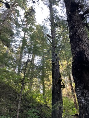 Above and Beyond Alaska by null