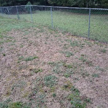 Magnolia Lawn - This is what Magnolia did to my lawn - Lawn Services Near Me - Suwanee, Georgia Magnolia Lawn - This is what Magnolia did to my lawn - Lawn Services Near Me - Suwanee, Georgia