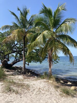 Hobie Island Beach Park North by null
