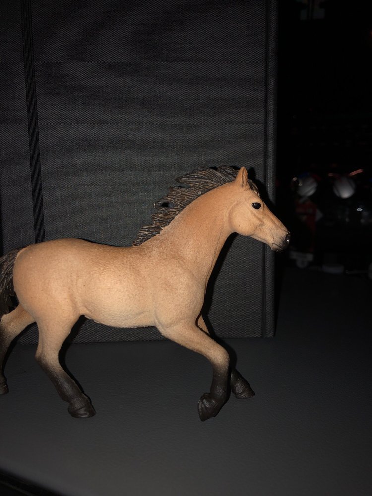 KJM Equestrian School - equestrian in Tulsa, OK