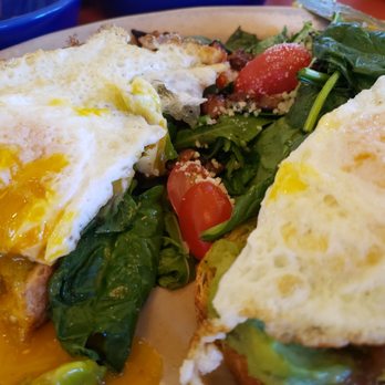 Snooze, an A.M. Eatery - Bravocado toast YUMMY - Breakfast & Brunch Near Me - Lone Tree, Colorado