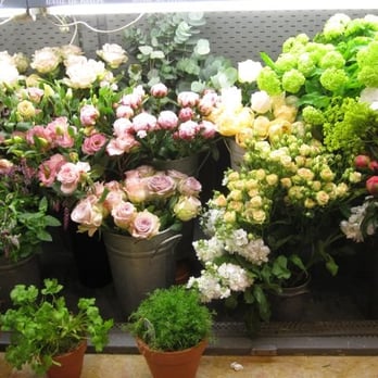 Harrods - beautiful flowers - Department Stores Near Me - London, XGL