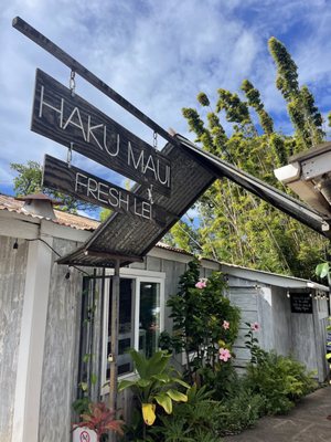 Haku Maui by null