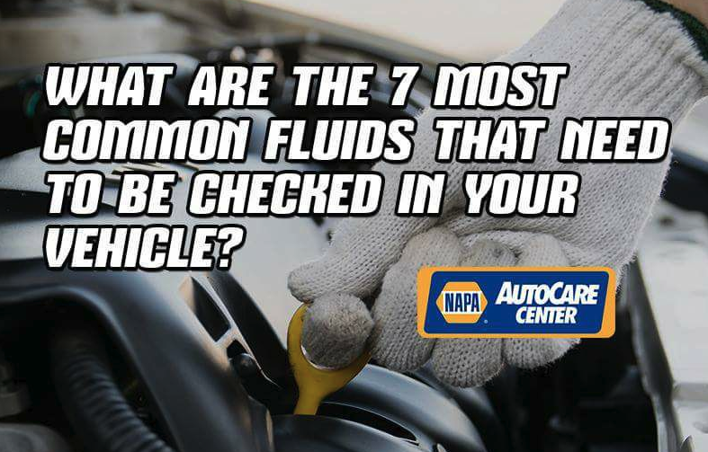 TURTLES AUTOMOTIVE CENTER Updated September 2024 16 Photos 8181 Erie Rd, Angola, New York