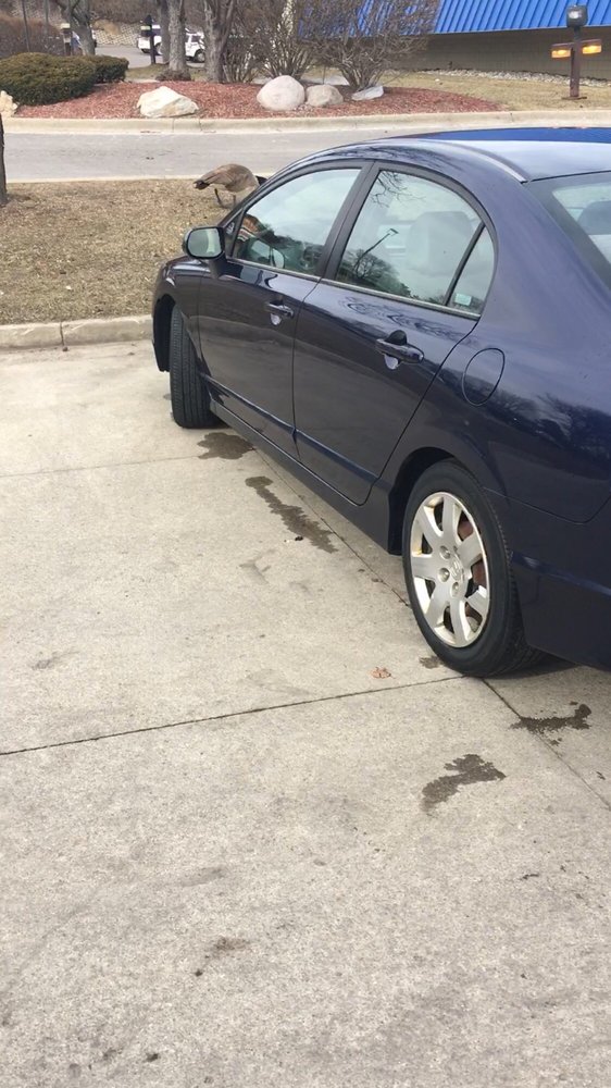 D & D CAR COMPANY Updated September 2024 222 W Montcalm St, Pontiac