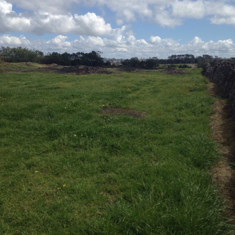 Maungarei Stonefields - Parks Near Me - Auckland, AUK