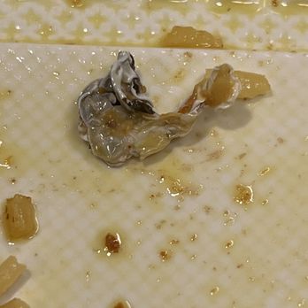 Habibi Halal Food - a piece of food left on the table - Halal Near Me - New York, New York Habibi Halal Food - a piece of food left on the table - Halal Near Me - New York, New York