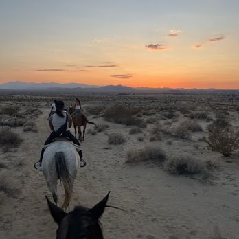 Cascade Trails Mustang Sanctuary - Horseback Riding Near Me