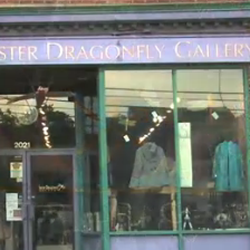 Sister Dragonfly Gallery