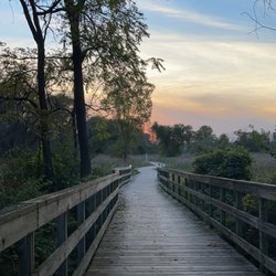 Beyer Farm Trail - Boardwalk section of Beyer Farm Trail