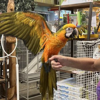 Pet Creations - Pet Stores Near Me - Jacksonville, Florida