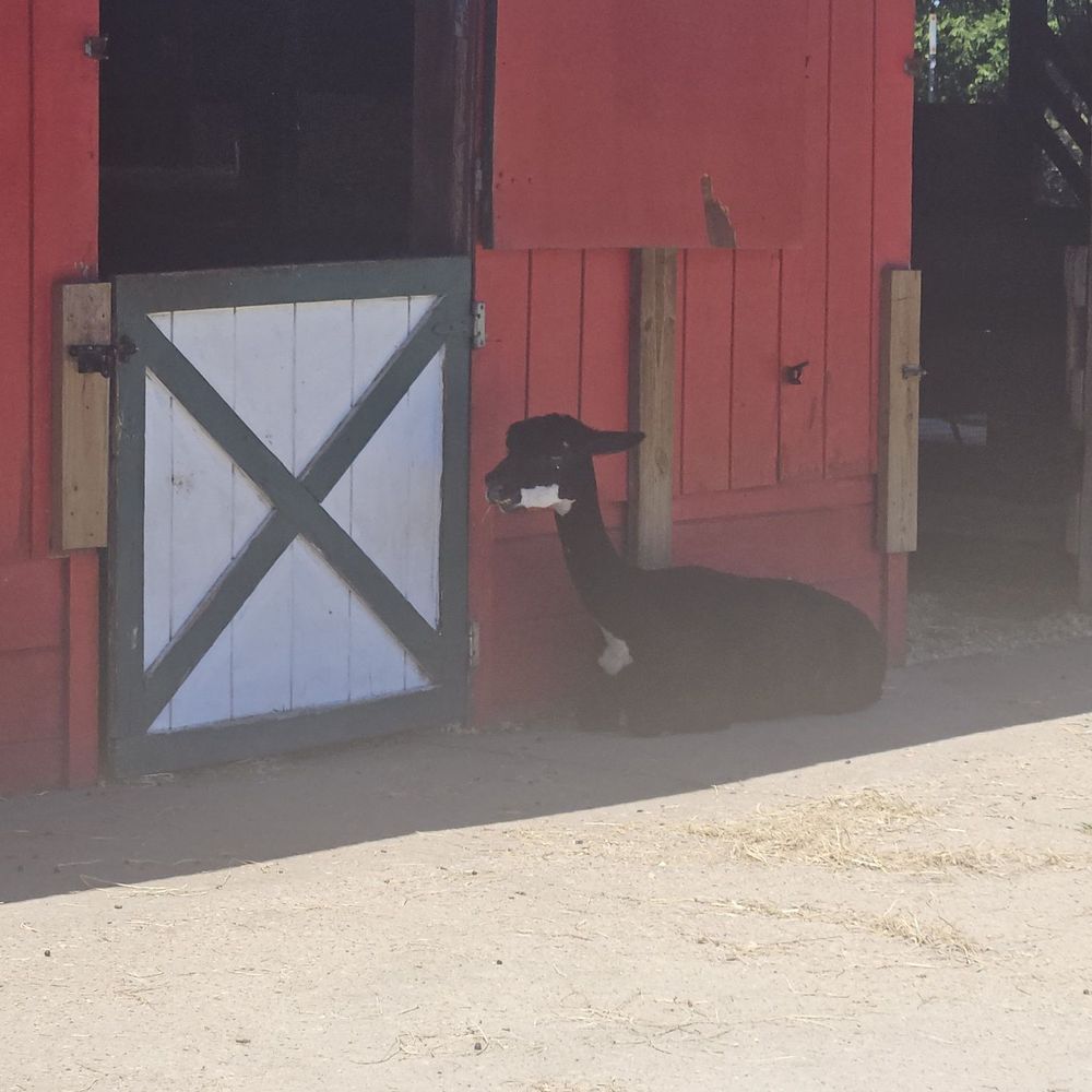 Bluebird Gap Farm - Parks Near Me - Hampton, Virginia Bluebird Gap Farm - Parks Near Me - Hampton, Virginia