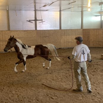 WindWalker Farms - Horseback Riding Near Me - Fenton, Michigan WindWalker Farms - Horseback Riding Near Me - Fenton, Michigan