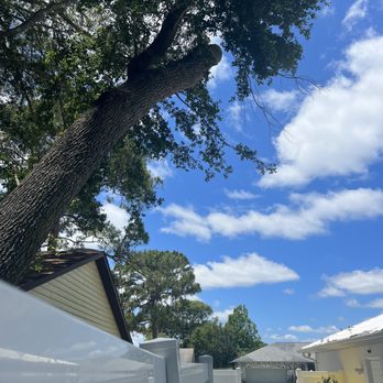 Opre's Tree Service - After - Tree Services Near Me Opre's Tree Service - After - Tree Services Near Me