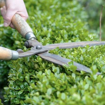 Refined Landscape & Design - Refined Landscape & Design - Landscaping Near Me - Northvale, New Jersey