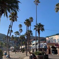 A Love Affaire Event & Travel Planning - Catalina Island