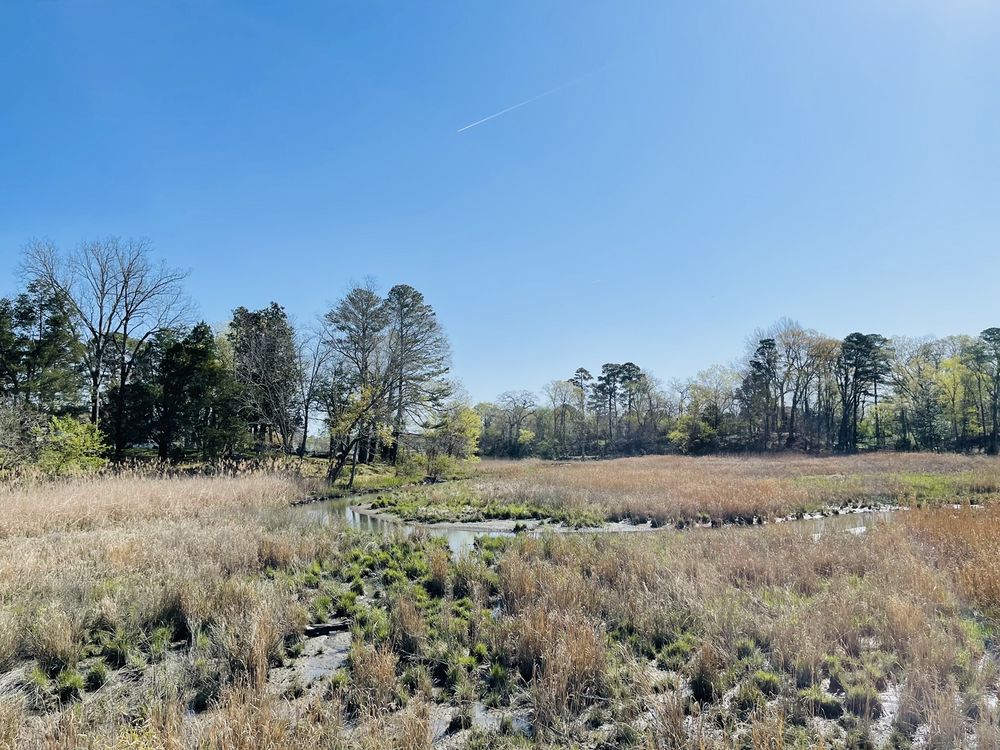 WINDSOR CASTLE PARK 296 Photos & 37 Reviews 705 Cedar St