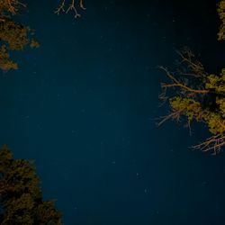 Fritz's Island Campground - Dark skies!