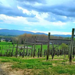 Entrance to the winery! Lovely mountain views Entrance to the winery! Lovely mountain views