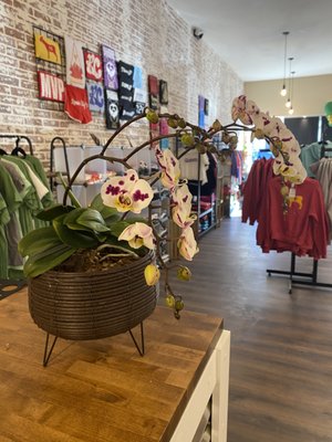 KARMA Community Market by null