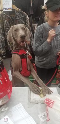 JM Hardware Locksmith by null