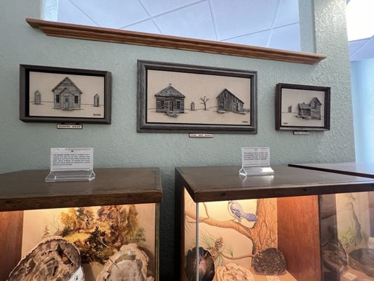 Petrified Wood Gallery by null