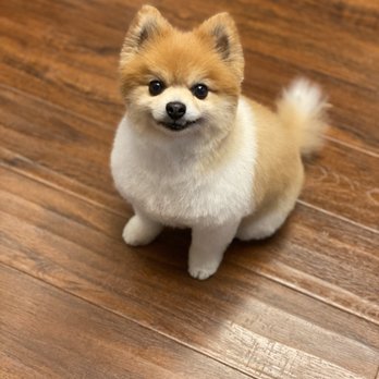 The Pet Stylist - He's digging his new doooo - Pet Groomers Near Me The Pet Stylist - He's digging his new doooo - Pet Groomers Near Me