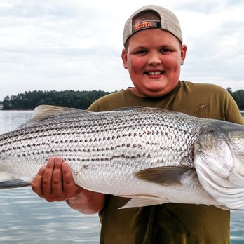 Big Ol' Fish Guiding Service - Monster striper on Lake Nottely. 38 pounds. North Georgia Fishing at its best! - Fishing Near Me - Murphy, North Carolina