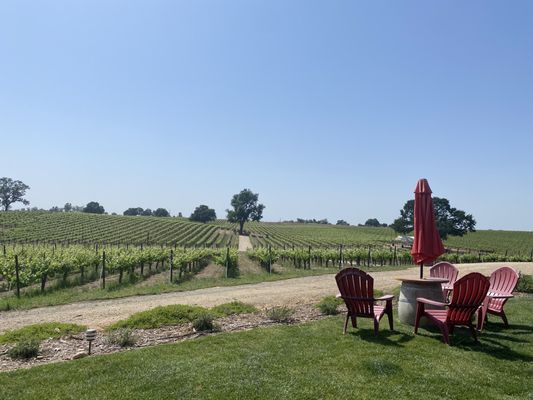 Bokisch Vineyards by null