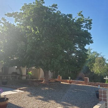 Treepro - Tree Services Near Me - Las Vegas, Nevada