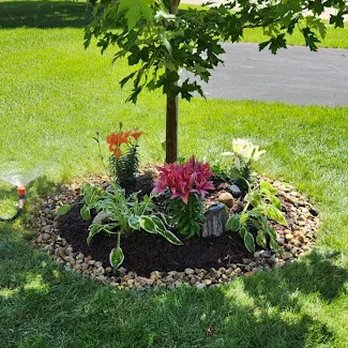 TruGreen Lawn Care - TruGreen gives plants professional attention with tree and shrub care in Madison, WI, and nearby Fitchburg. - Tree Services Near Me - Madison, Wisconsin TruGreen Lawn Care - TruGreen gives plants professional attention with tree and shrub care in Madison, WI, and nearby Fitchburg. - Tree Services Near Me - Madison, Wisconsin