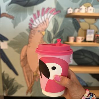 Parakeet Cafe - Brentwood - Breakfast & Brunch Near Me - Los Angeles, California