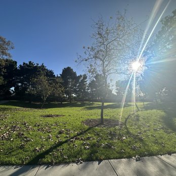 Willows Park - Parks Near Me - Irvine, California Willows Park - Parks Near Me - Irvine, California