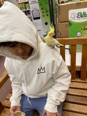 THE BIRD & REPTILE CONNECTION - Updated June 2024 - 29 Photos & 33