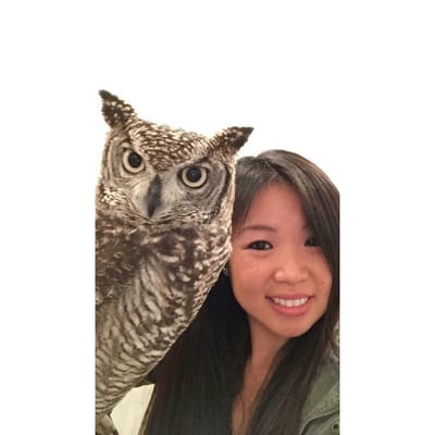 Owl Cafe Tokyo by null