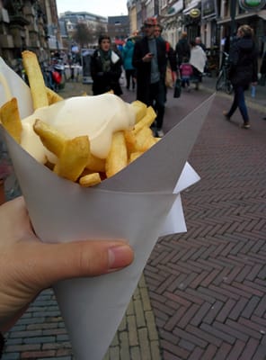 De Haerlemsche Vlaamse by null