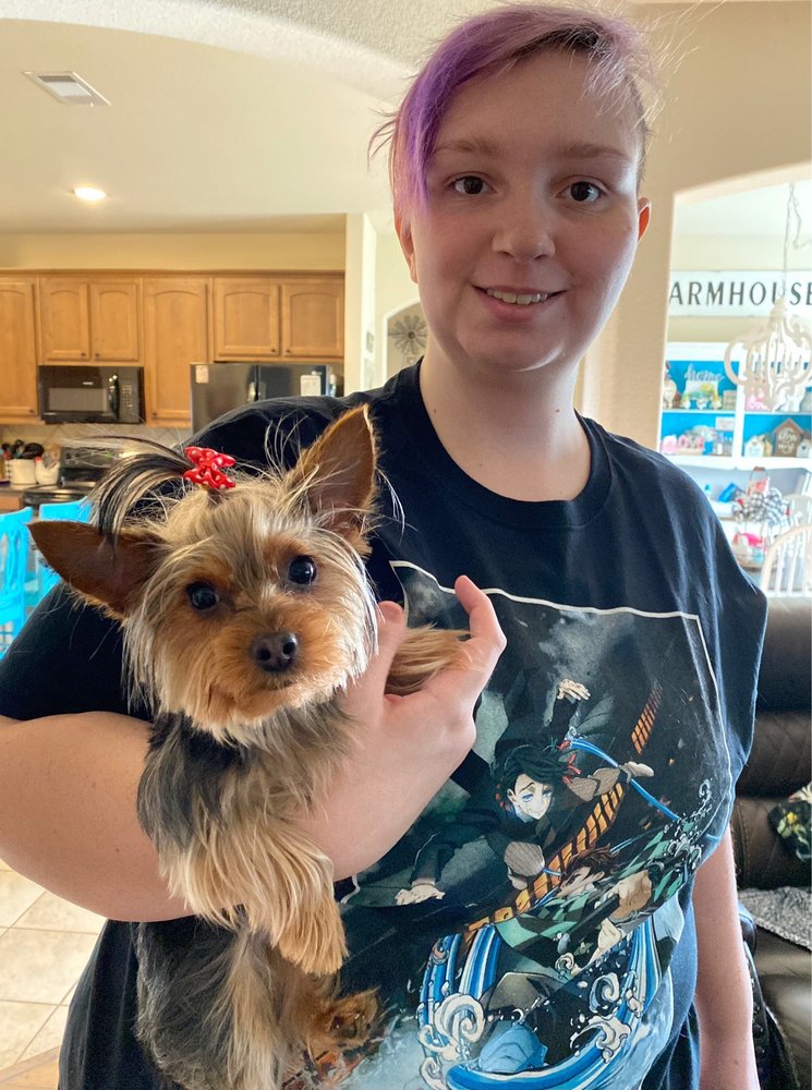 WILDFLOWER DOG SPA Updated August 2024 21 Photos Decatur, Texas