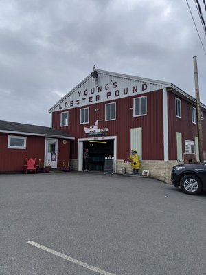 Young's Lobster Pound by null